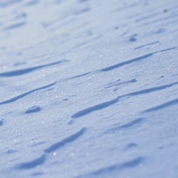 Blue snow blanket in the evening light